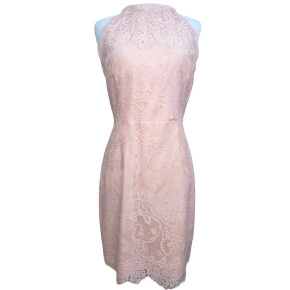 BB Dakota Lace Halter Dress Blush Pink Sz 4 - Picture 1 of 17